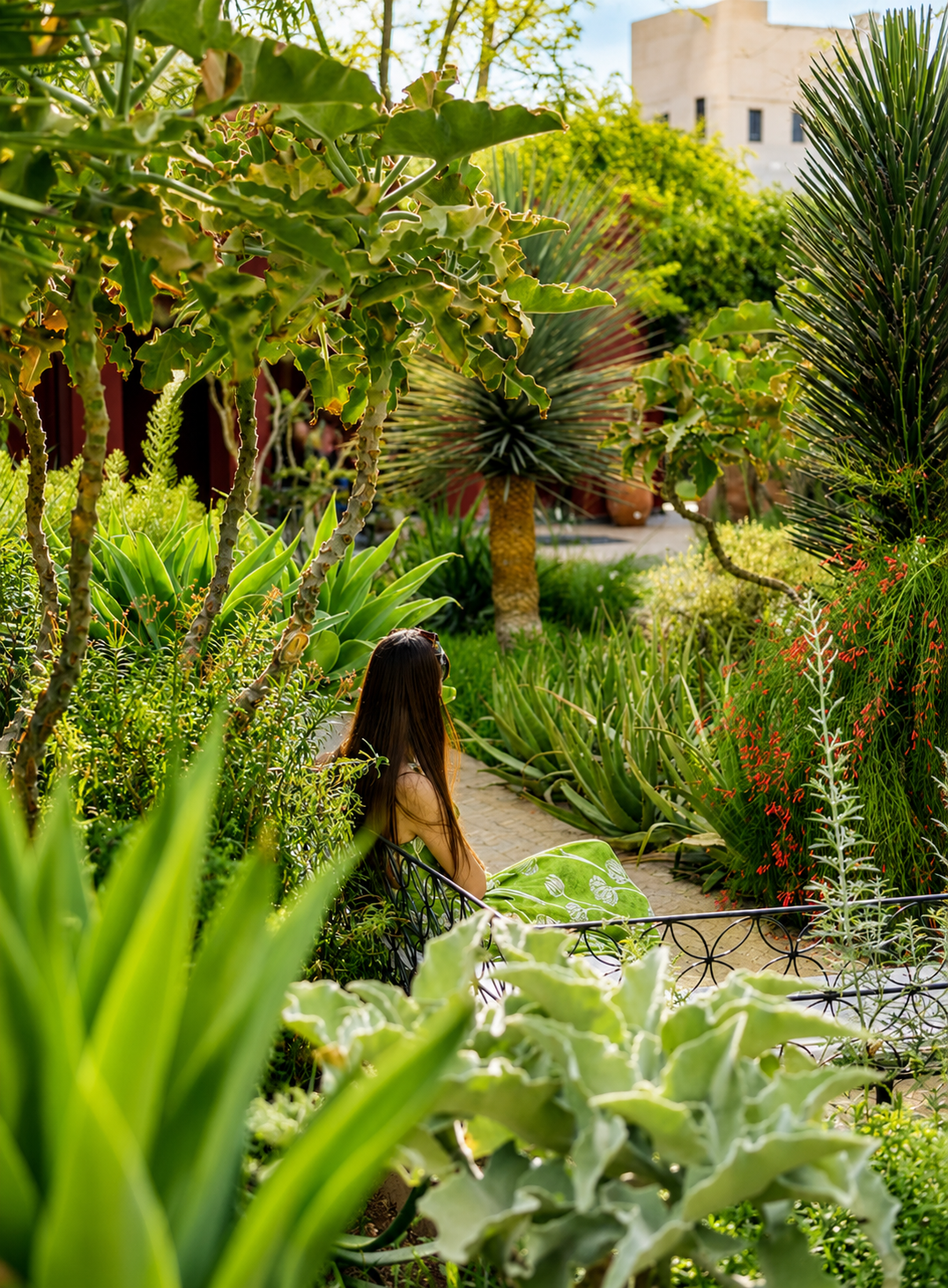 Allée bordée de plantes exotiques et de cactus au Jardin Majorelle à Marrakech, offrant une promenade au cœur d'un jardin botanique.