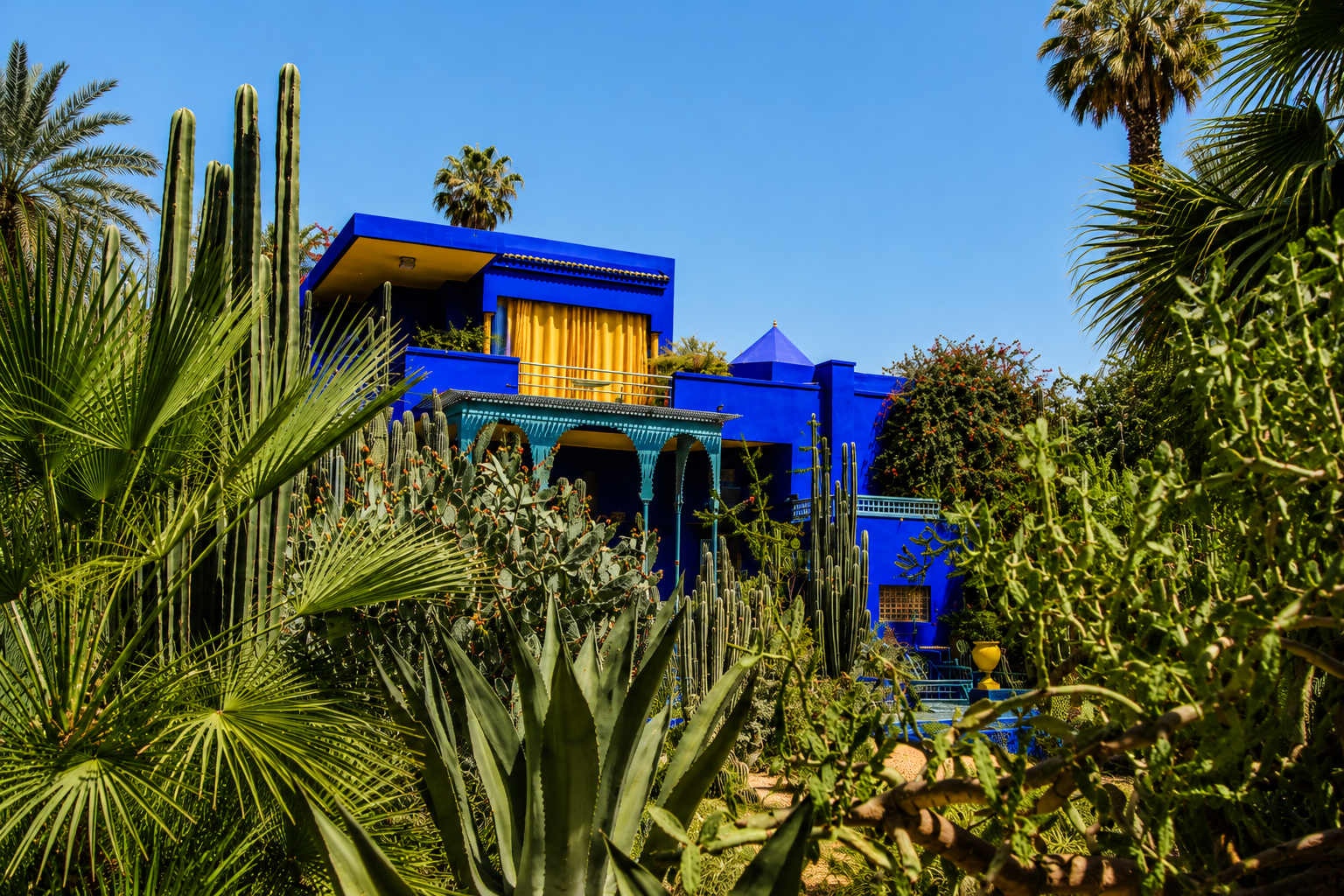 Villa bleue du Jardin Majorelle à Marrakech entourée de cactus, de palmiers et de plantes exotiques